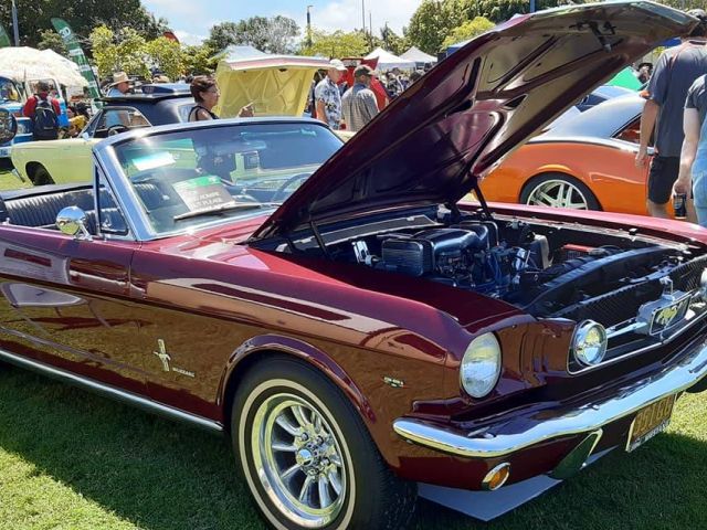 65_Mustang